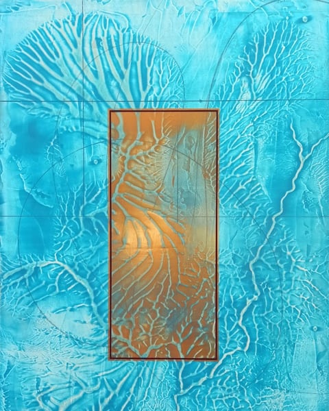 Dynamiques du vivant, entre eau et lumière