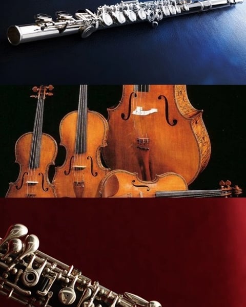 Quatuor de Chartreuse, quatuors de Mozart