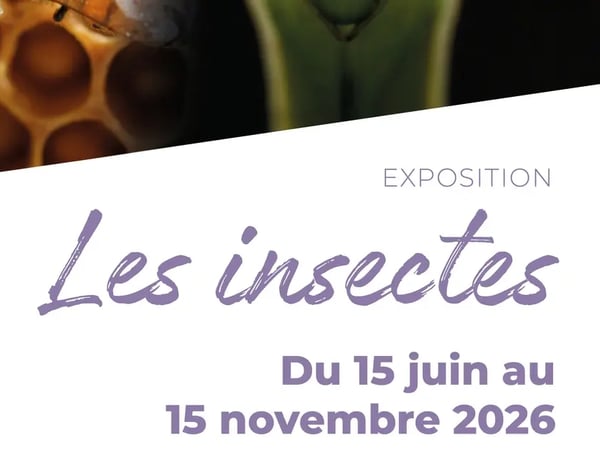 Exposition "Les insectes"